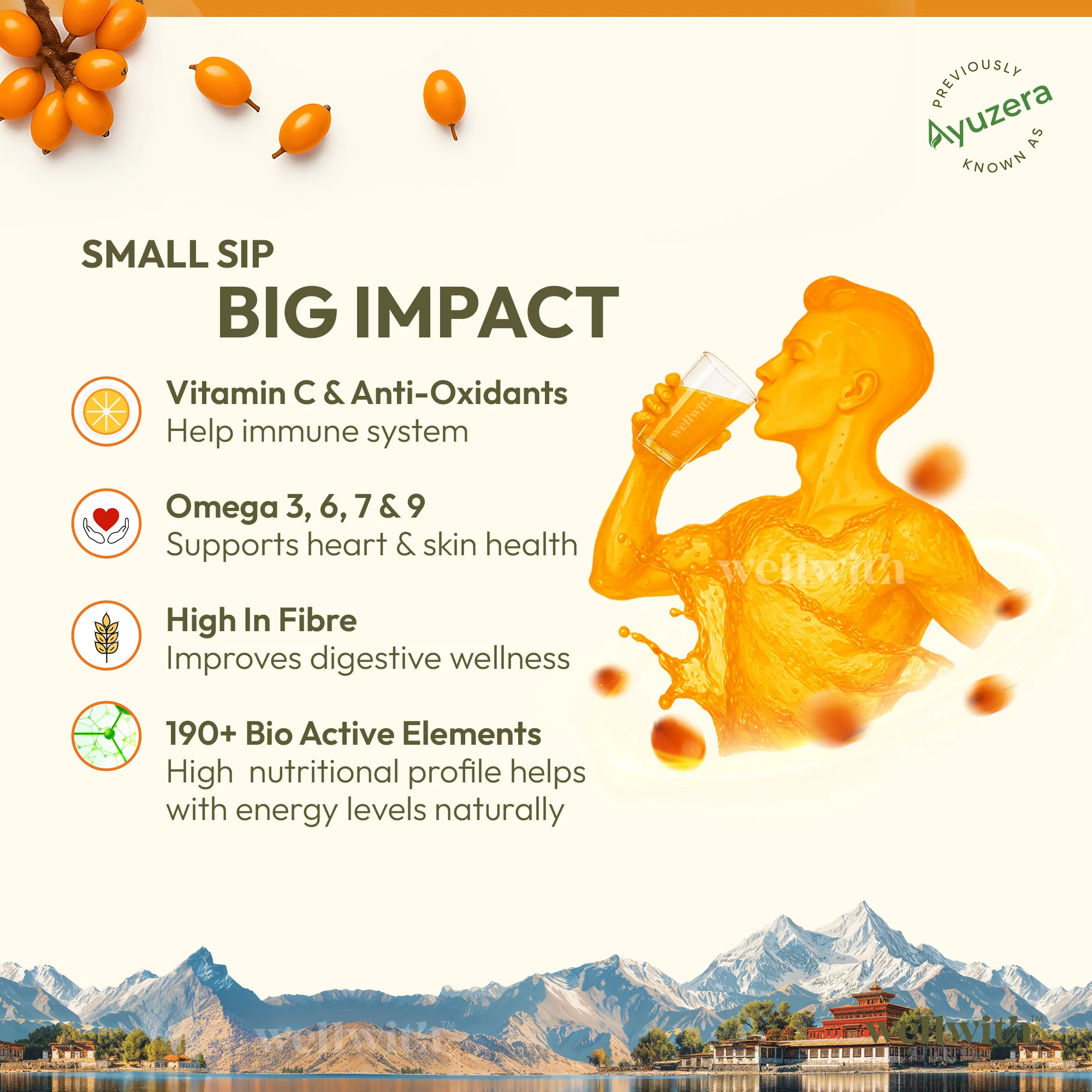 Sea Buckthorn Antioxidant (AO) Shot - Image 7