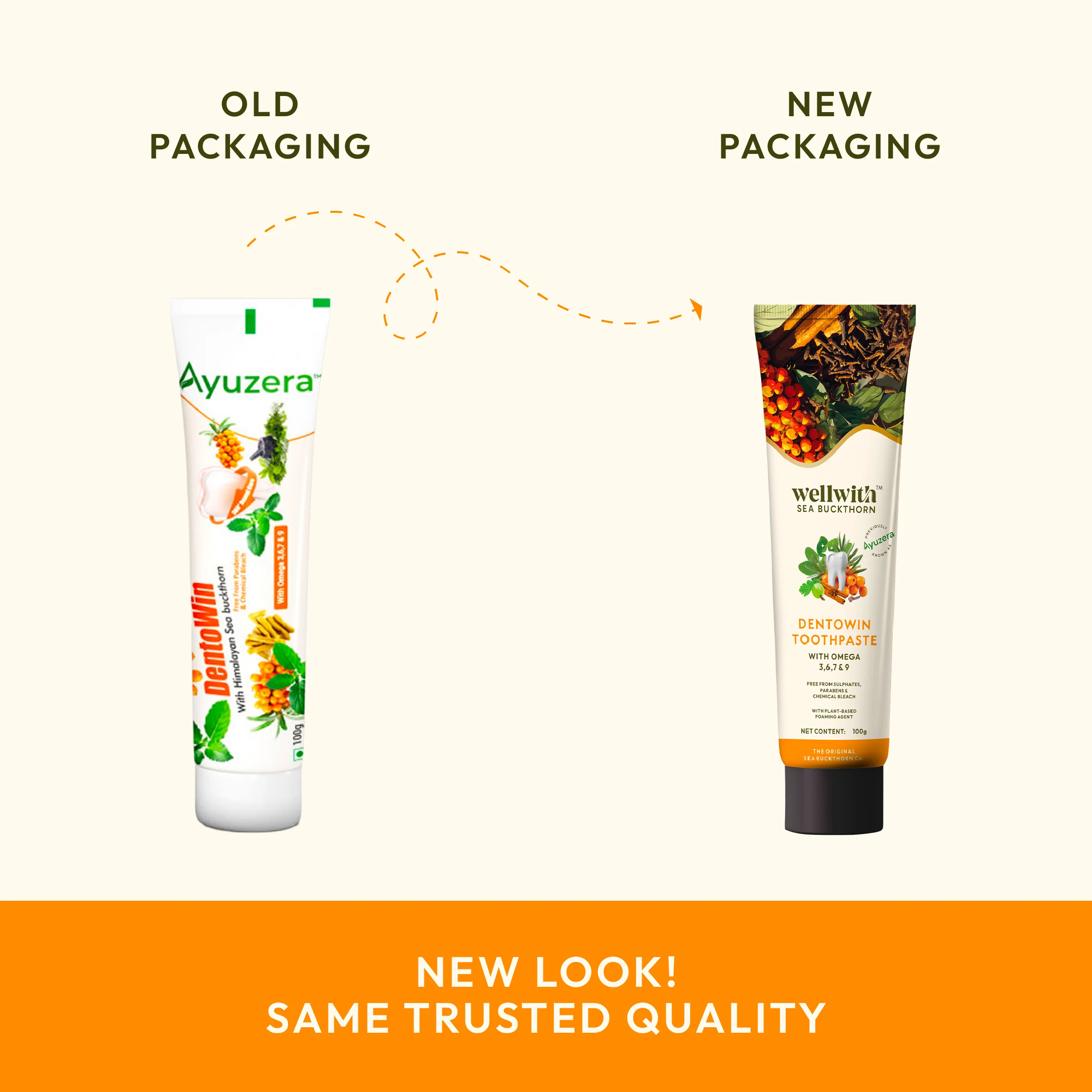 Dentowin Sea Buckthorn Herbal Toothpaste 100gm - Image 3
