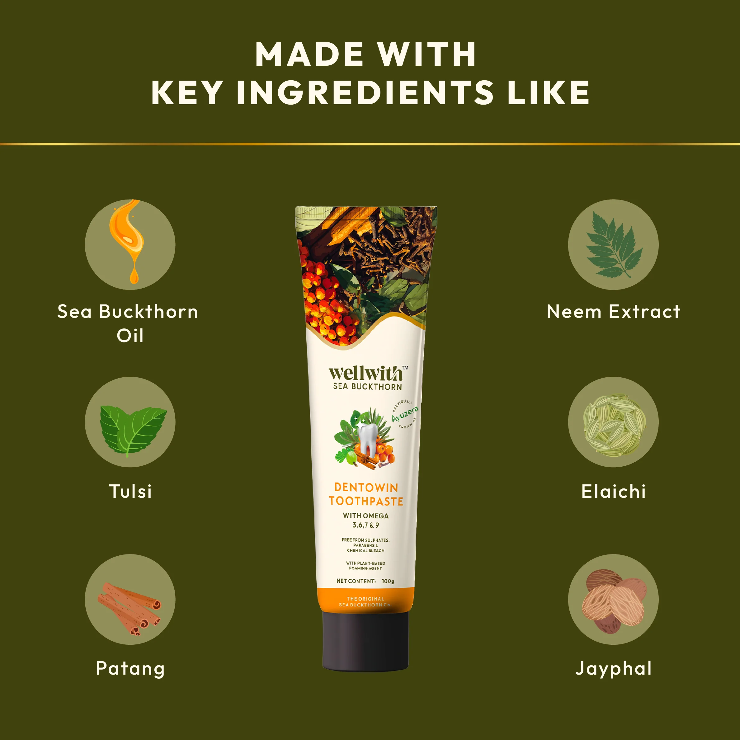 Dentowin Sea Buckthorn Herbal Toothpaste 100gm - Image 6