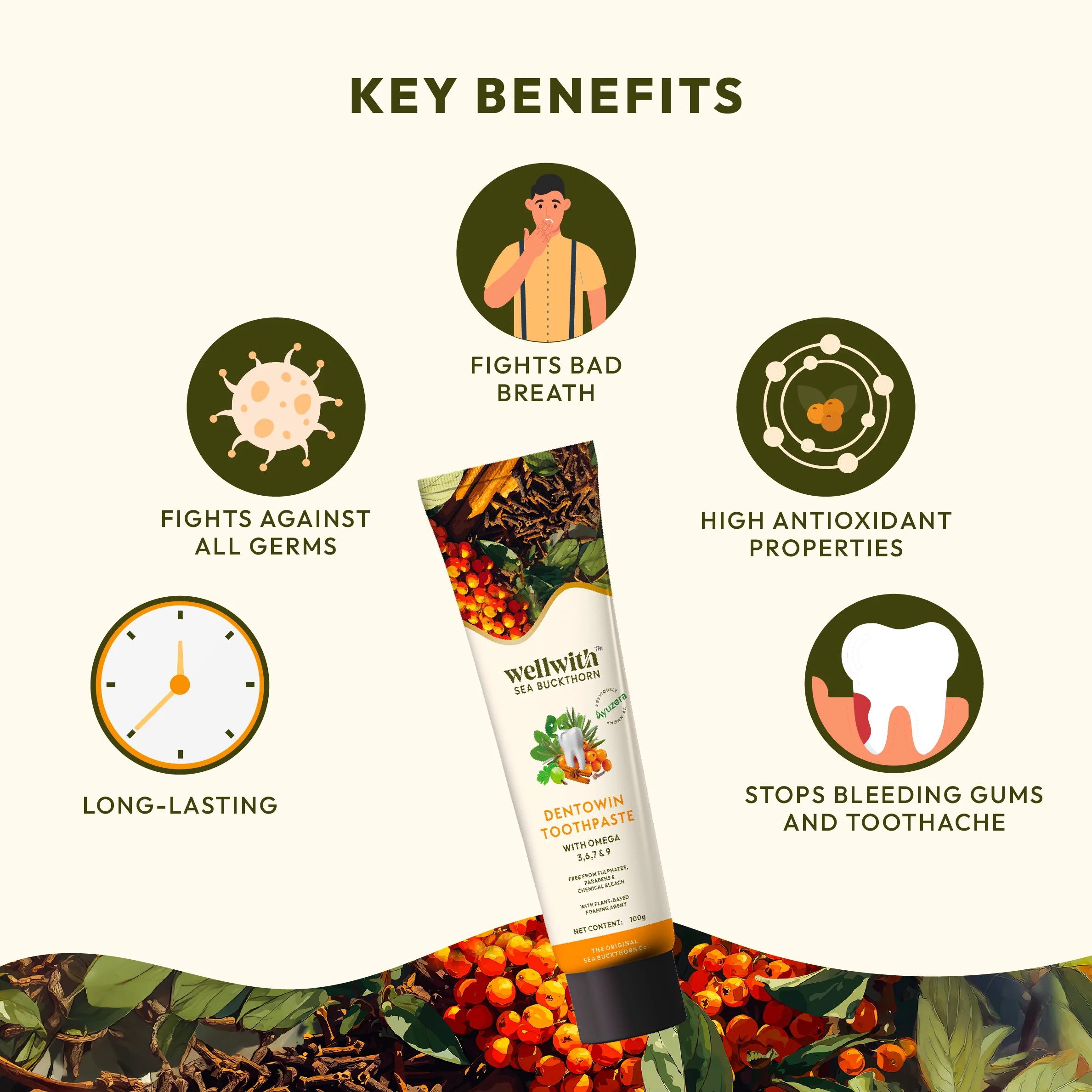 Dentowin Sea Buckthorn Herbal Toothpaste 100gm - Image 9