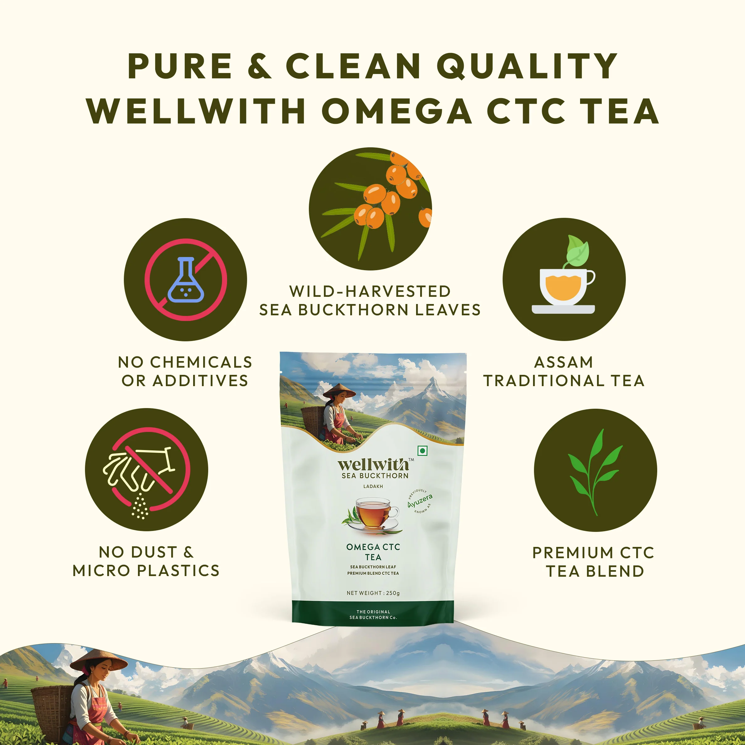 Omega CTC Tea 250gm - Image 8