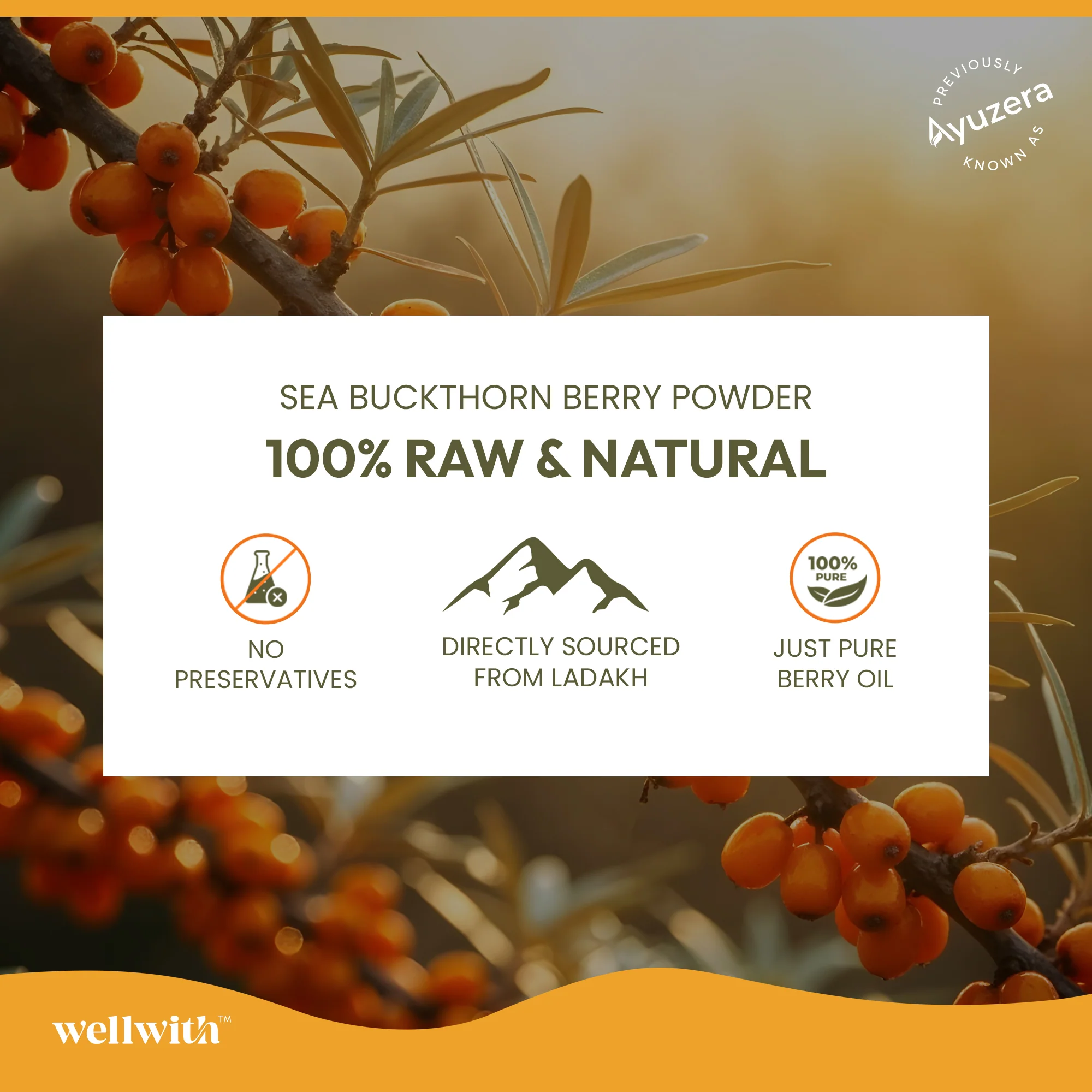 Sea Buckthorn Oil Capsules (30 Capsules) - Image 7