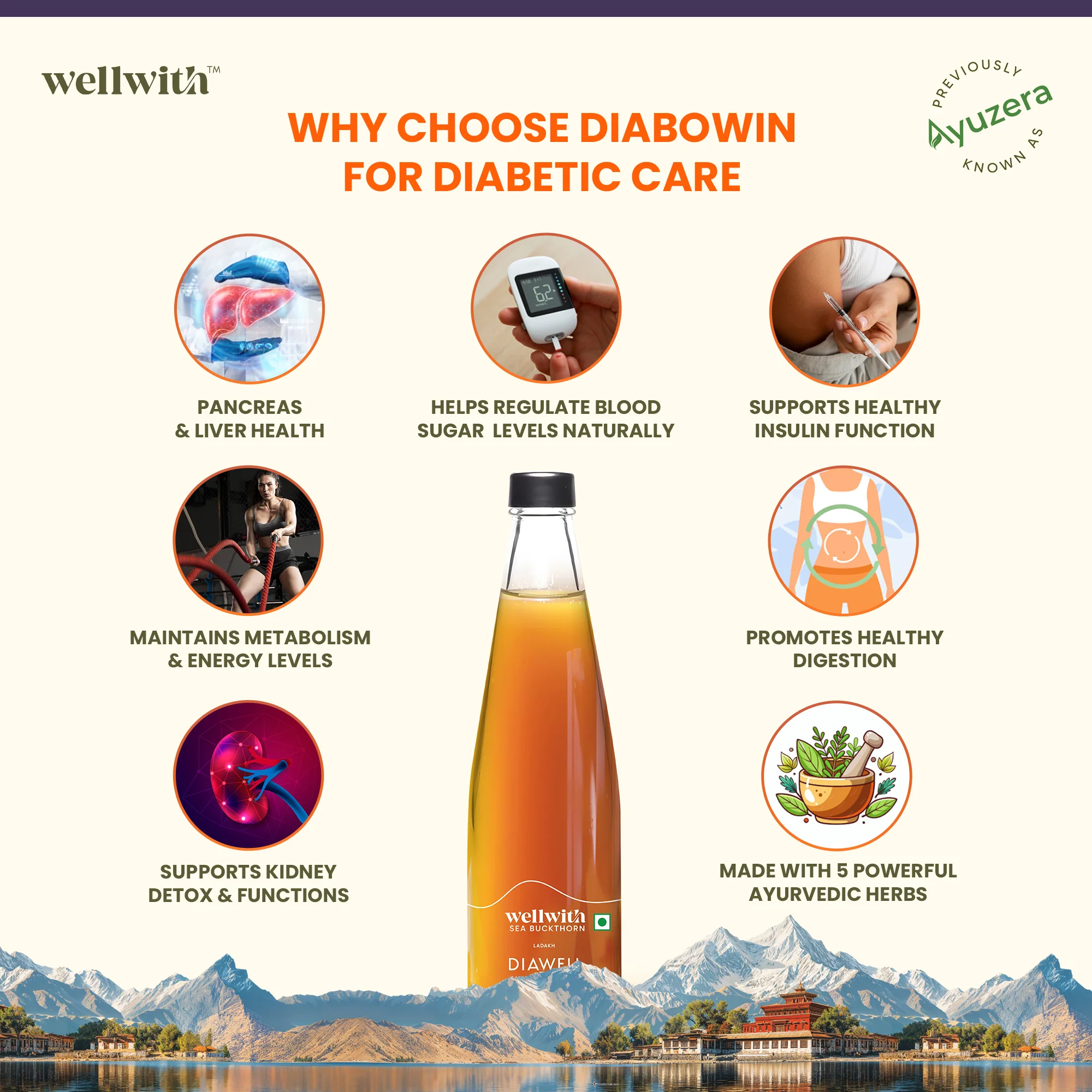 Sea Buckthorn DiaWell 300ml - Image 7