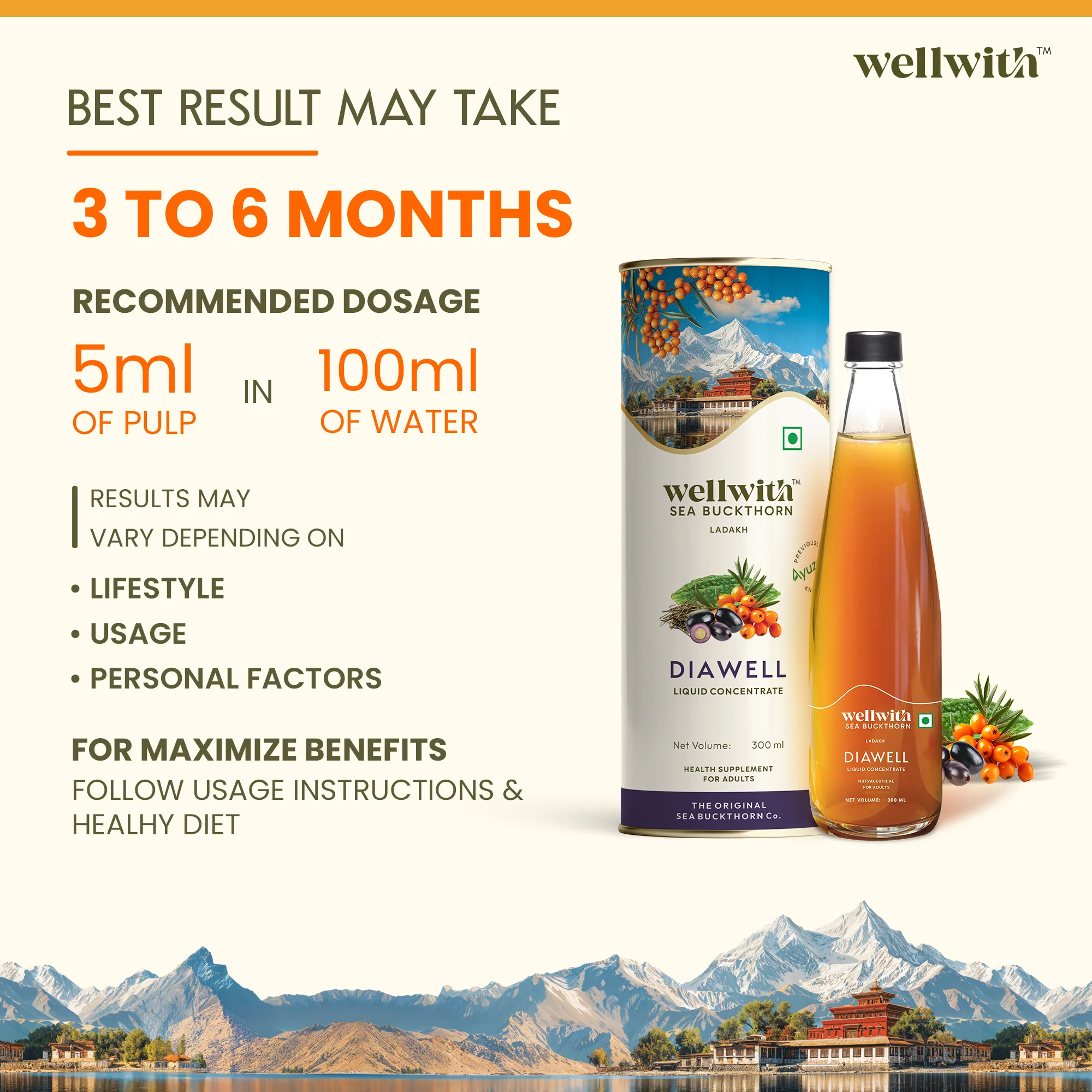 Sea Buckthorn DiaWell 300ml - Image 9