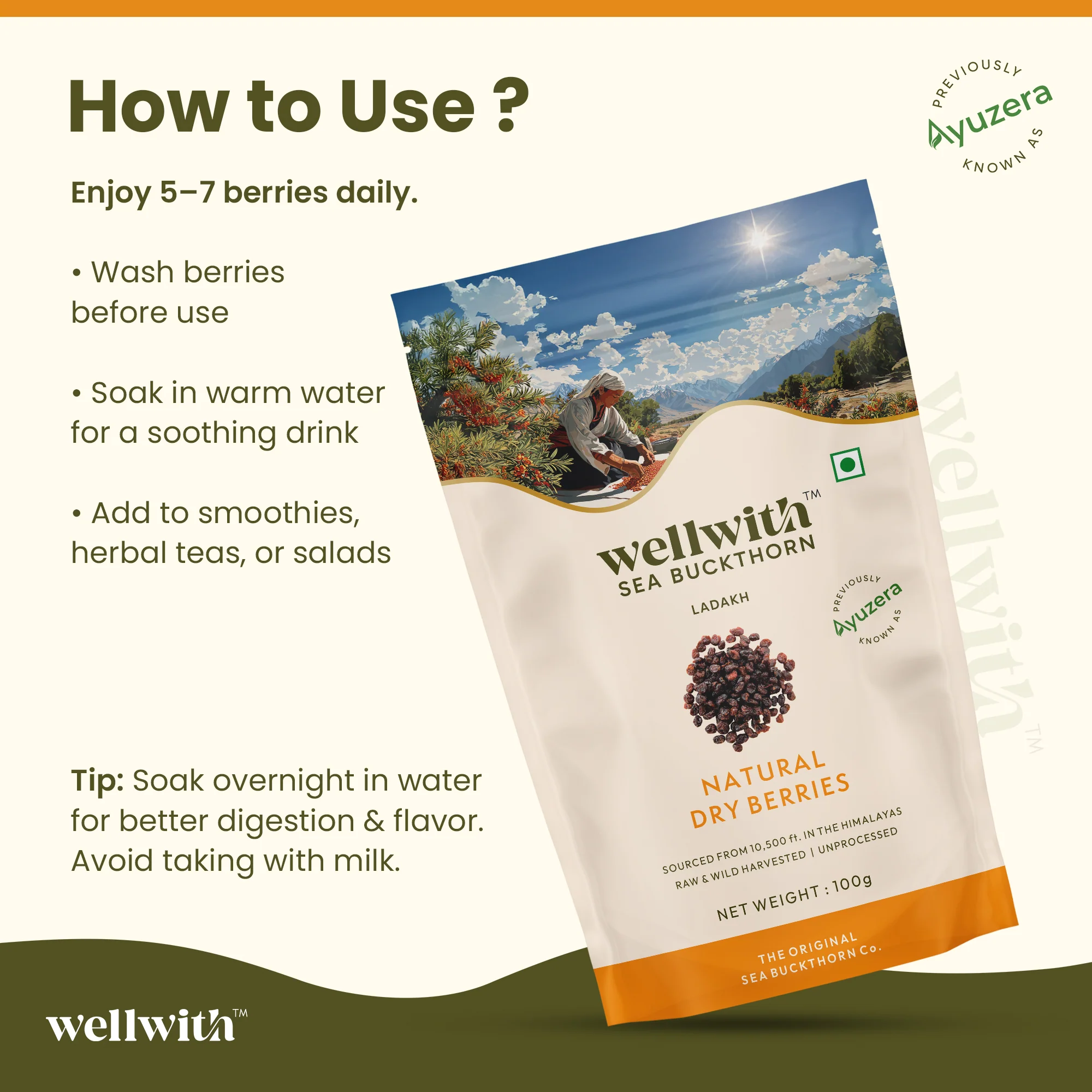 Sea Buckthorn Dry Berry 100gm - Image 6