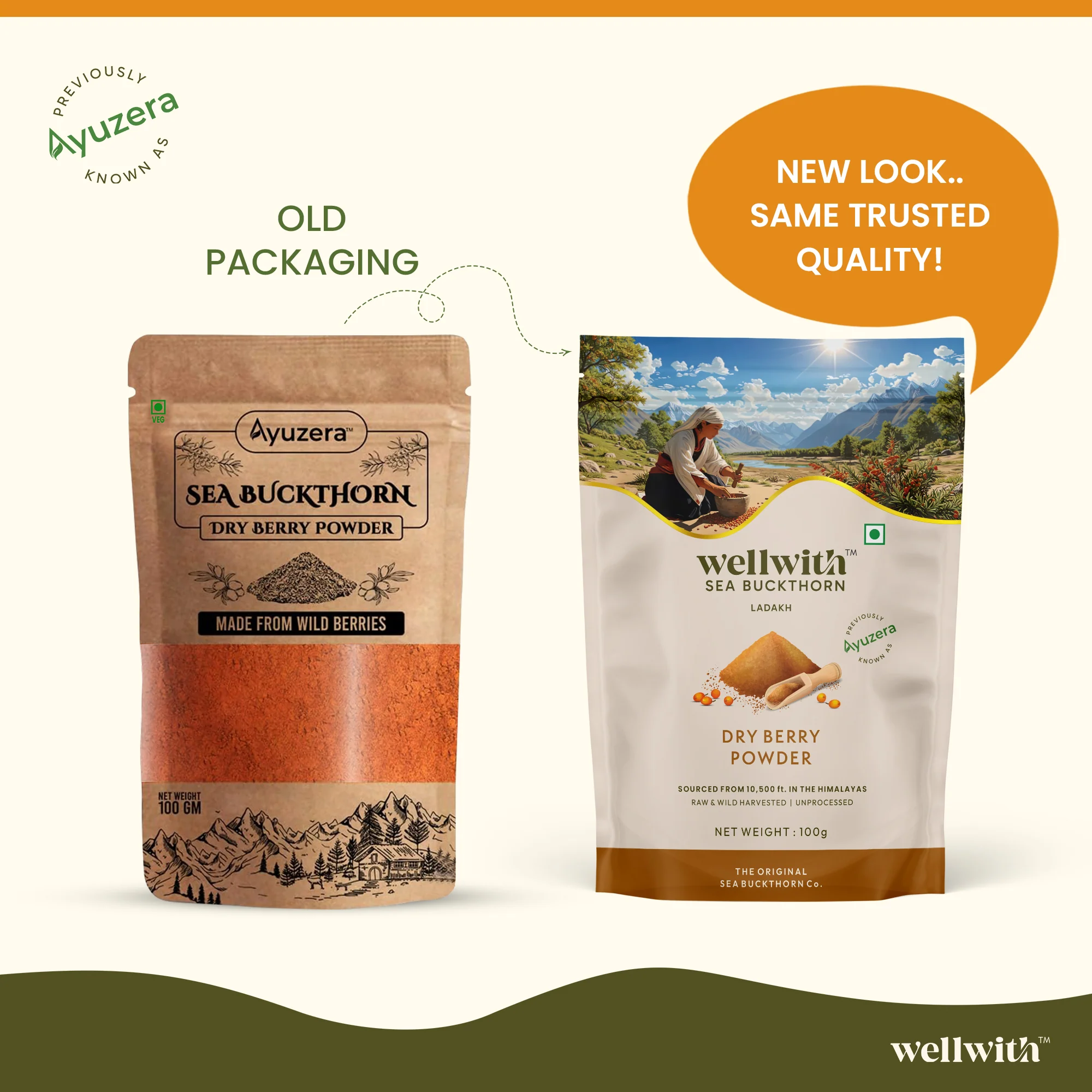 Sea Buckthorn Dry Berry Powder 100gm - Image 3