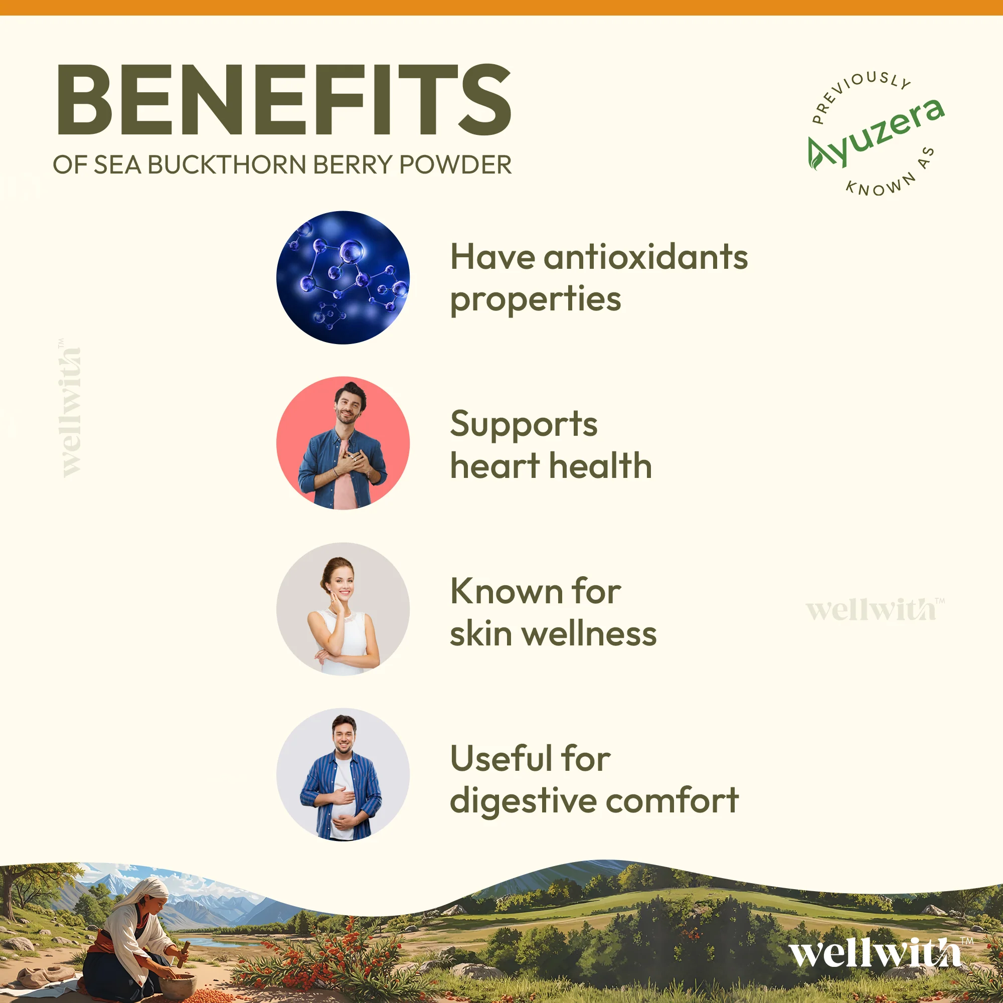 Sea Buckthorn Dry Berry Powder 100gm - Image 8