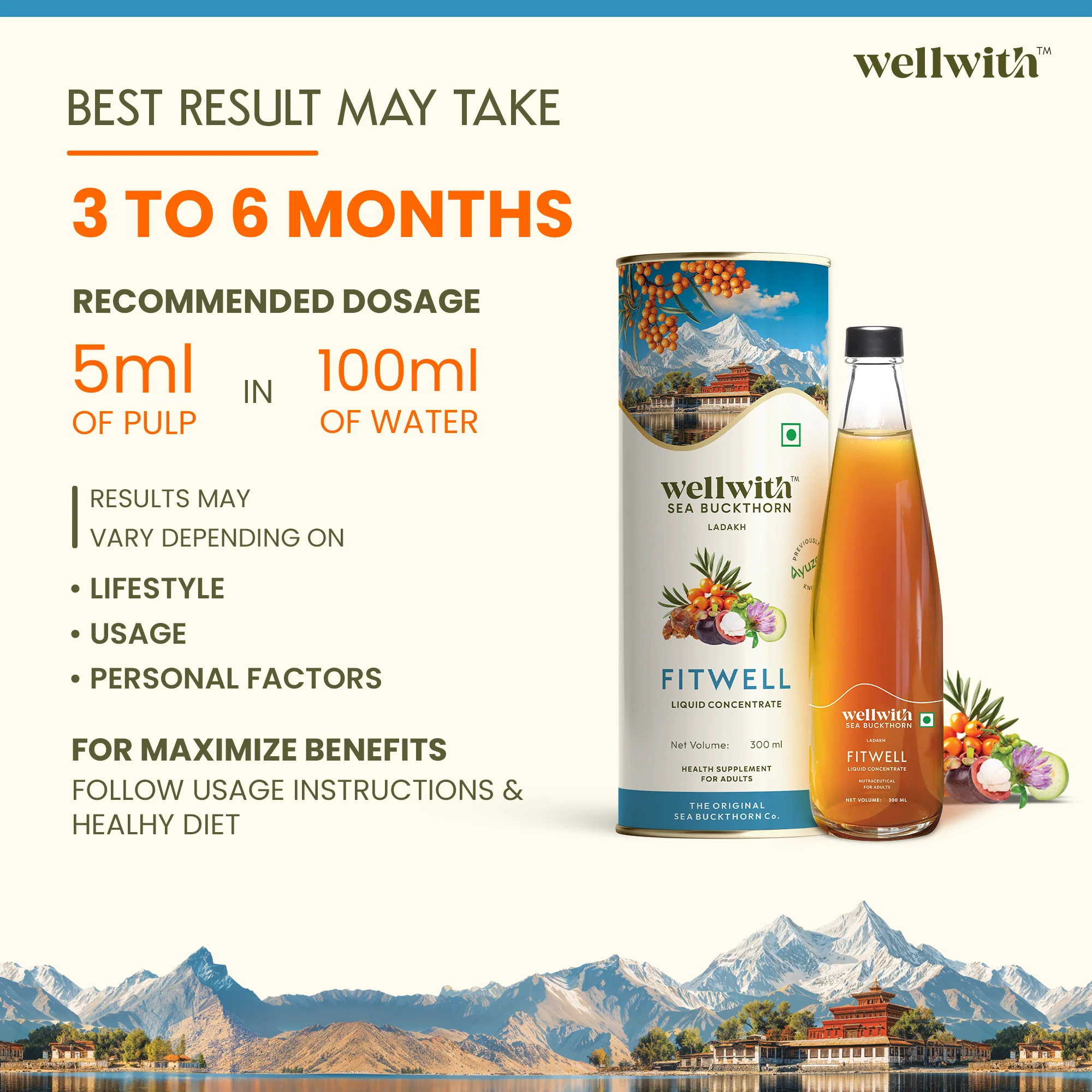 Sea Buckthorn FitWell 300ml - Image 10