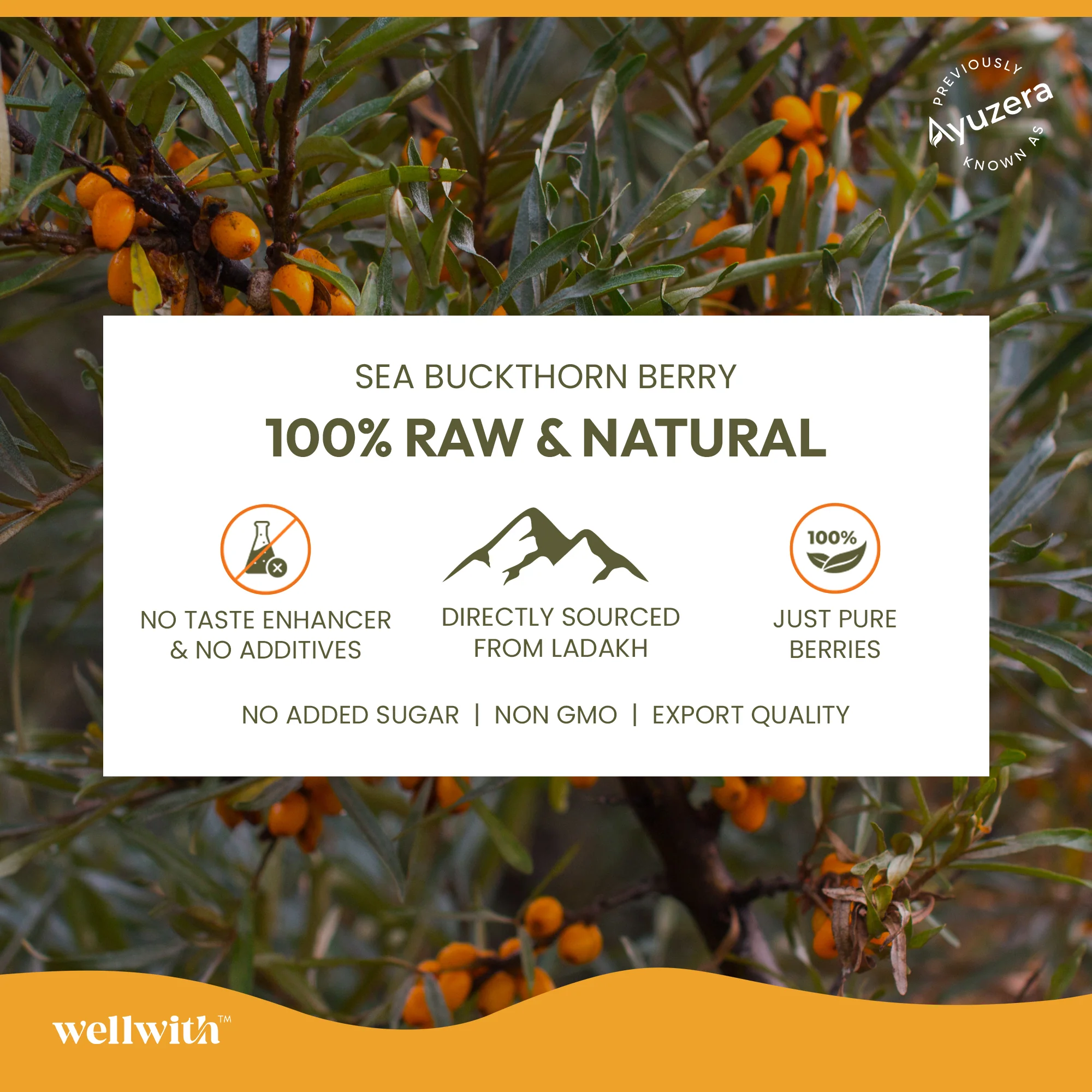 Sea Buckthorn Juice (Pulp) 300ml - Image 8