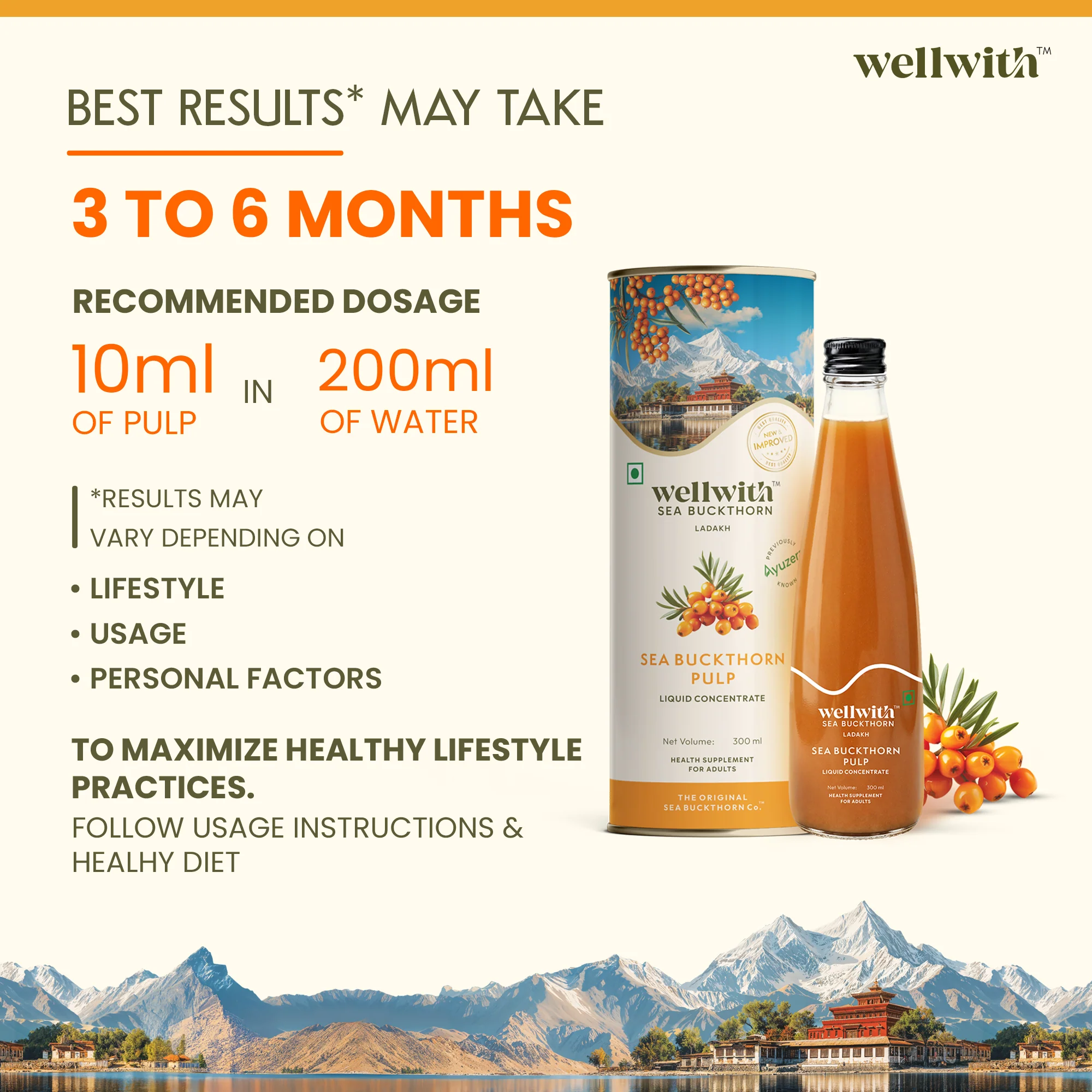 Sea Buckthorn Juice (Pulp) 300ml - Image 9