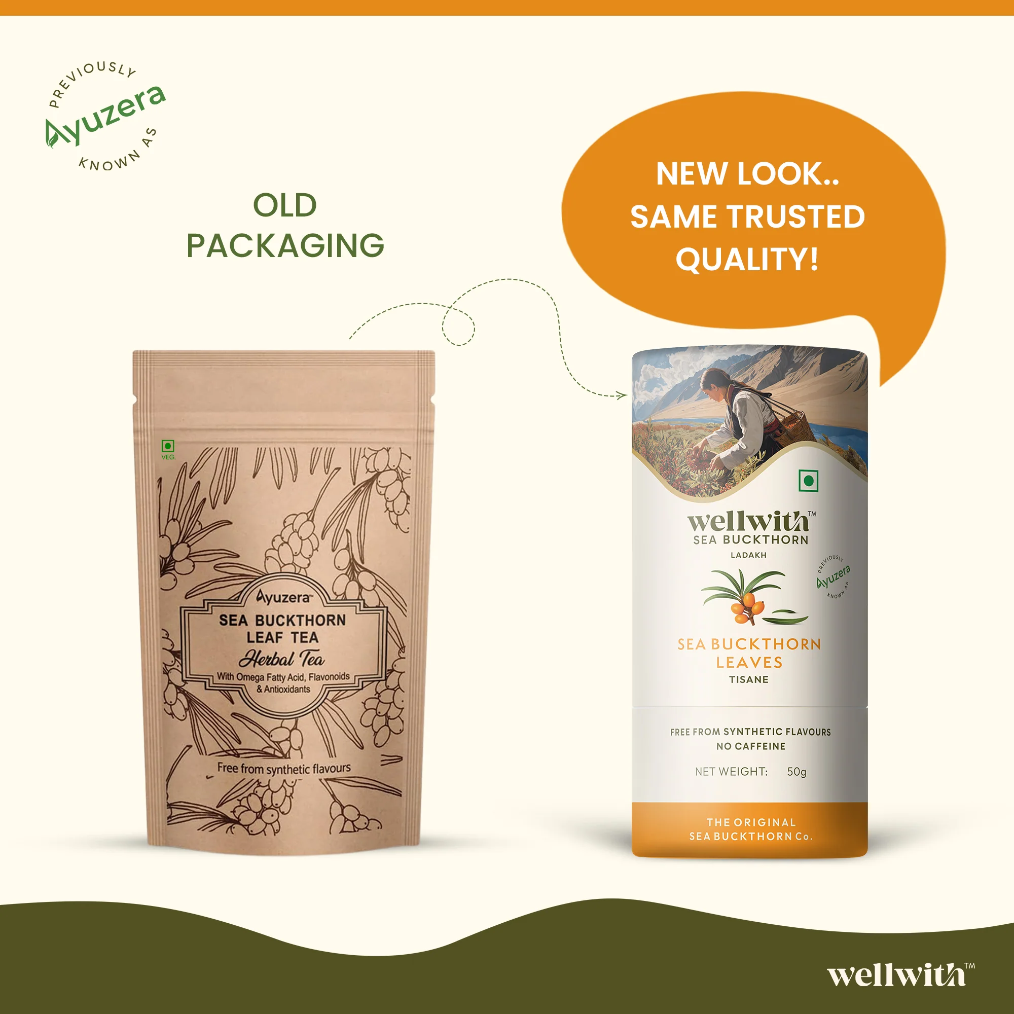Sea Buckthorn Leaf Tea 50gm - Image 3