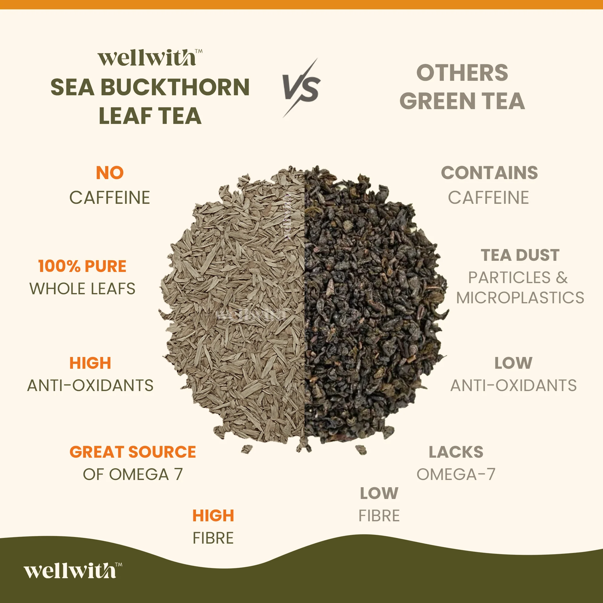 Sea Buckthorn Leaf Tea 50gm - Image 7