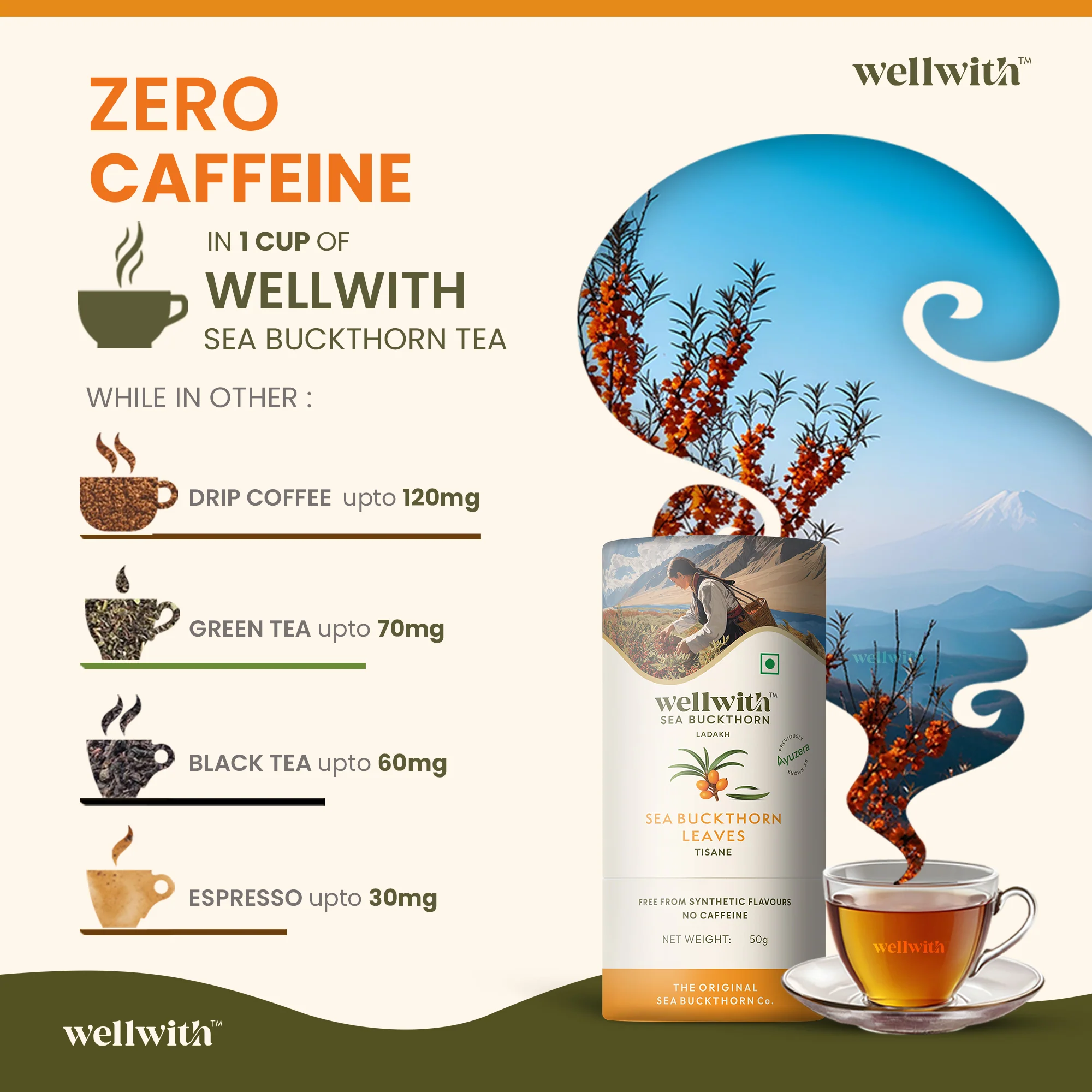 Sea Buckthorn Leaf Tea 50gm - Image 8