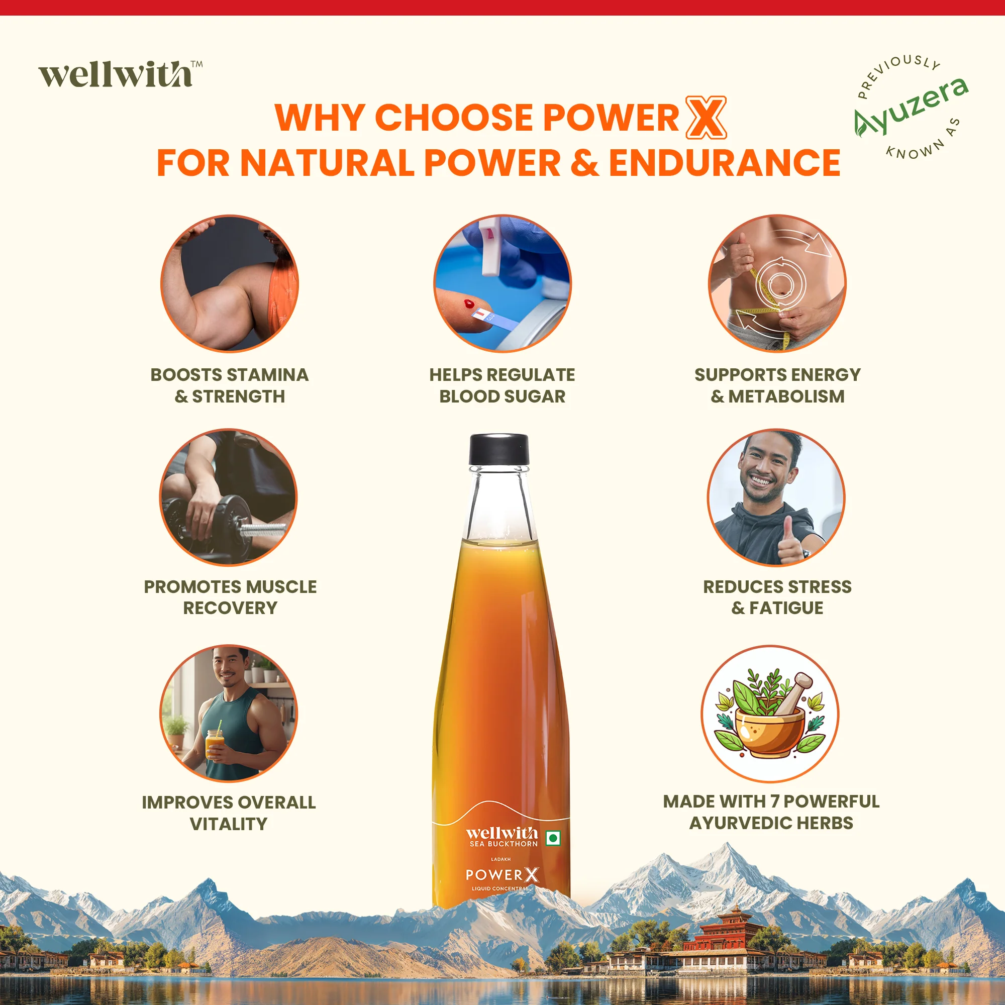 Sea Buckthorn Power X 300ml - Image 8